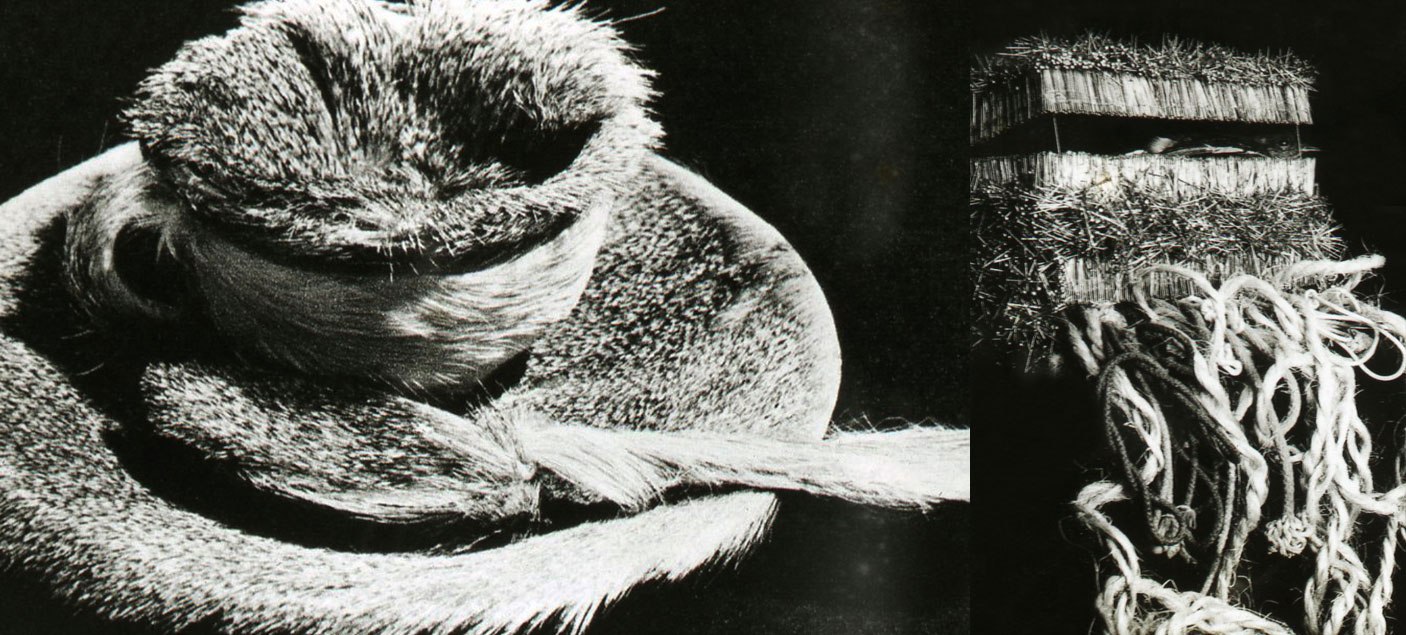 Lucas Samaras/Merit Oppenheim